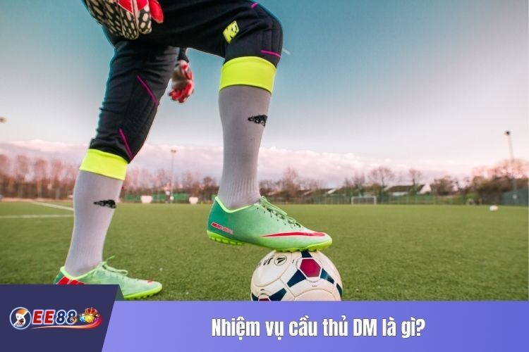 Nhiệm vụ cầu thủ DM là gì?