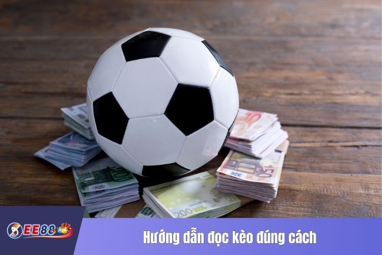 Hướng dẫn đọc kèo đúng cách