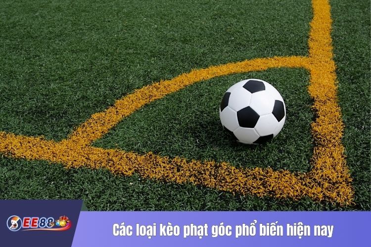 Các loại kèo phạt góc phổ biến hiện nay