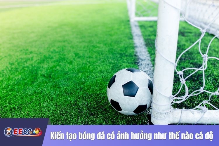 Kiến tạo bóng đá có ảnh hưởng như thế nào trong thế giới cá độ