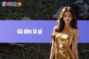 Gà đòn là gì? Cách tập luyện cho chiến kê thi đấu tại EE88