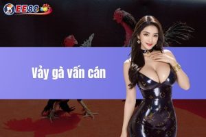 Vảy gà vấn cán và những thông tin người nuôi cần biết