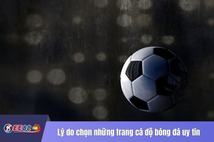 Lý do chọn những trang cá độ bóng đá uy tín, an toàn